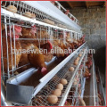 Automatic Food Processing Automatic Poultry Cage for Poultry Farms